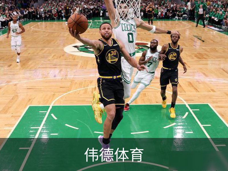 伟德体育介绍